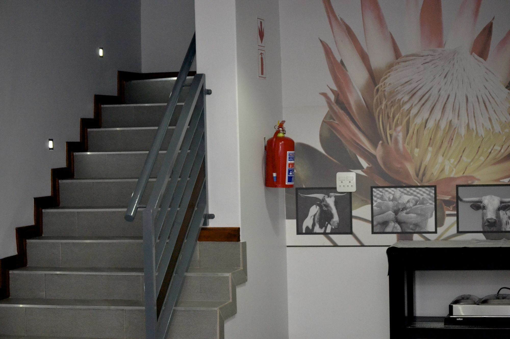 Yalla Yalla Boutique Hotel Witbank Εξωτερικό φωτογραφία